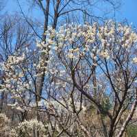 경기도광주