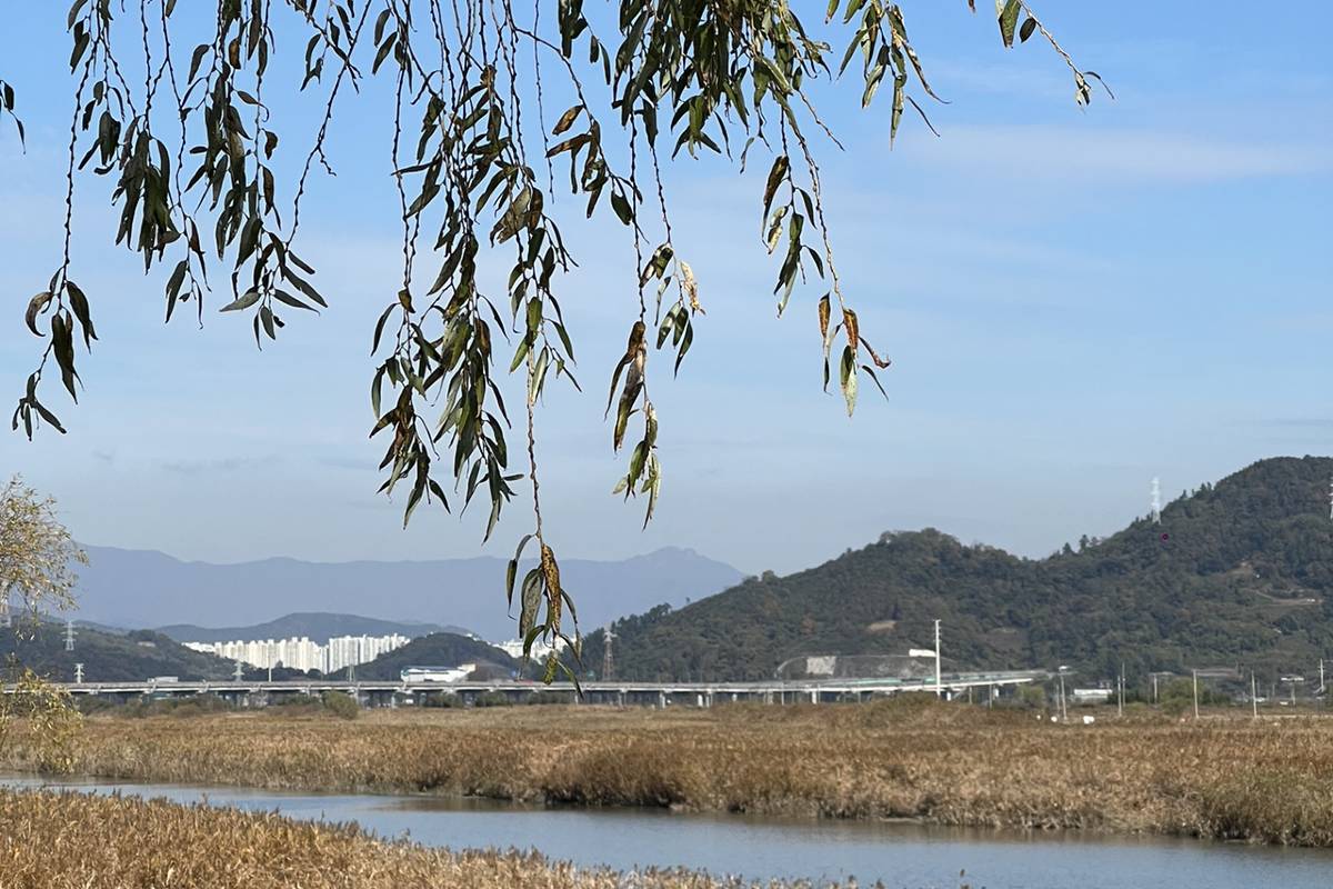 힐링하기 좋은 국내 여행지 순천
