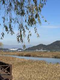 Suncheon Bay Reserve ชุนชอน