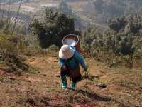 Exploring the Breathtaking Lao Cai Valley in Sapa, Vietnam