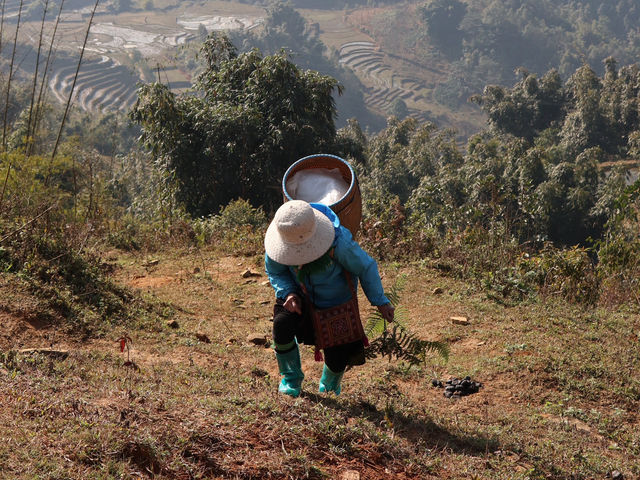 Exploring the Breathtaking Lao Cai Valley in Sapa, Vietnam