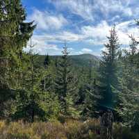 Bavarian Forest National Park