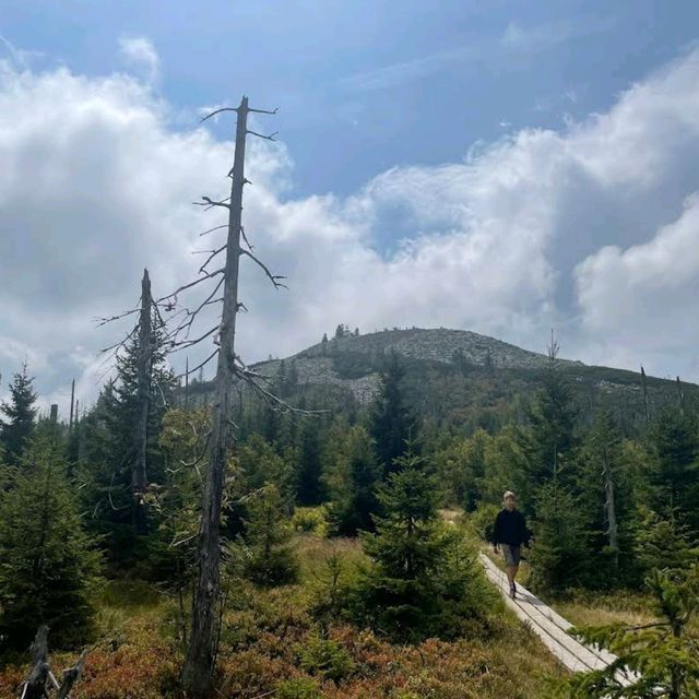 Bavarian Forest National Park