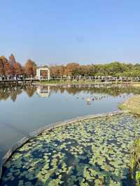 🥰❤️沉浸於大自然～香港必去濕地公園🏞️🌳