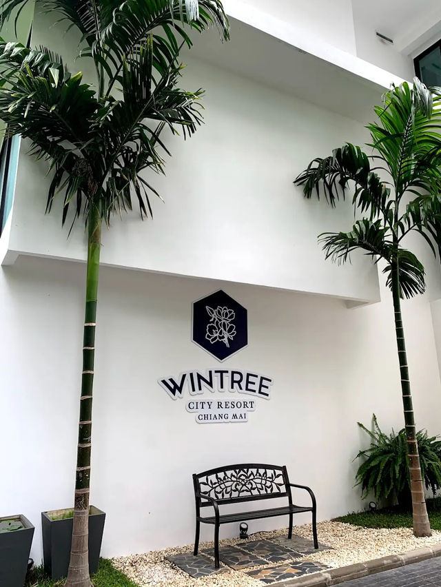 ⭐️โรงแรมระดับ 4 ดาวในเชียงใหม่ Wintree City 