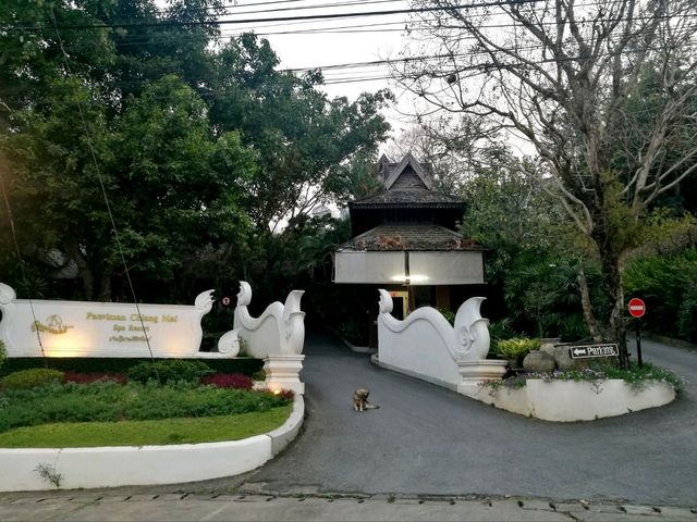Panviman ปานวิมาน เชียงใหม่ สปา รีสอร์ท