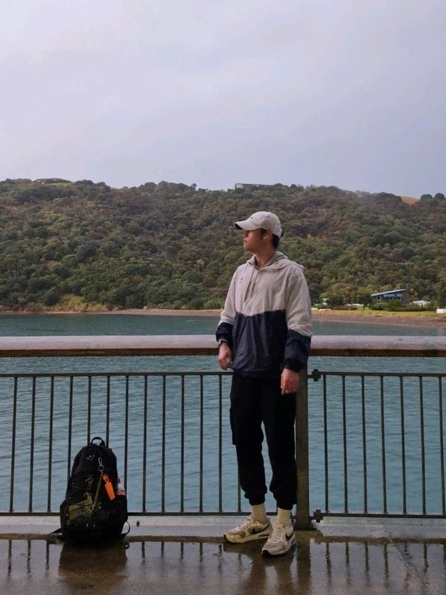 뉴질랜드의 아름다움 : 와이헤케 섬의 비온 뒤 노을🇳🇿