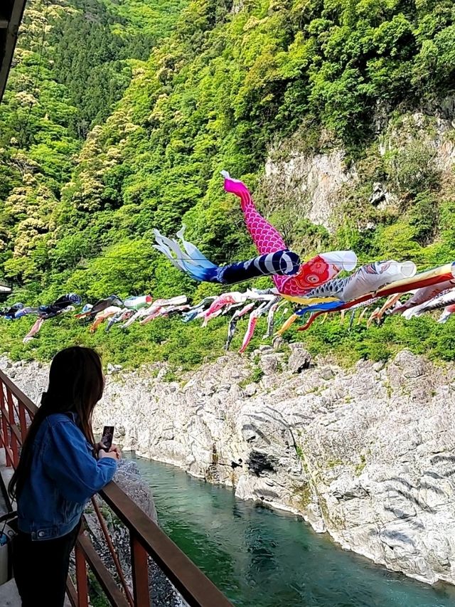 【徳島観光スポットは渦潮だけでない！】