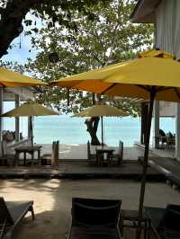 ห้ามพลาด! คาเฟ่ริมทะเลสิชล บรรยากาศดีมากกก