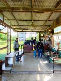 FAR AWAY คาเฟ่แม่แตง เชียงใหม่ 