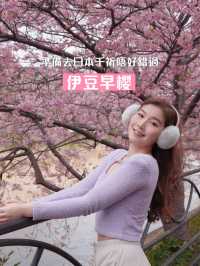 伊豆櫻花