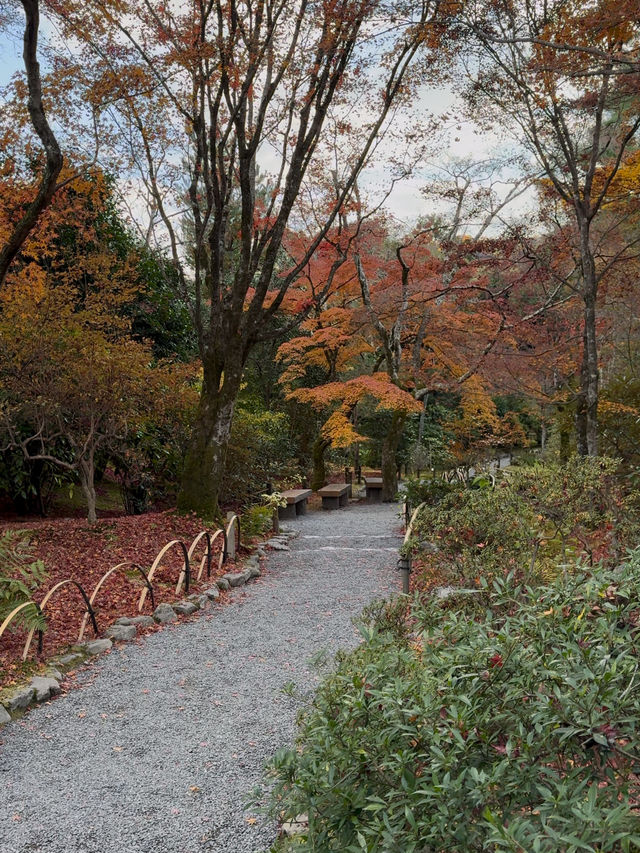 Tenryūji Temple: A Zen Retreat in Arashiyama’s Autumn Splendor