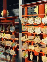 ไหว้พระ ขอพร ที่ศาลเจ้า | คามาคุระ ⛩️🏮