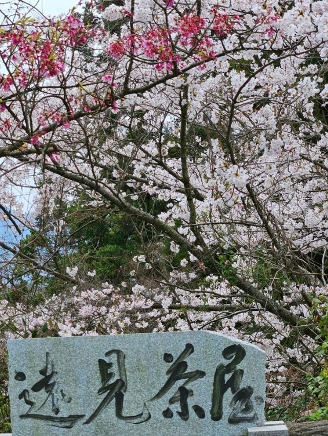 【ガラスのないテラス席からの絶景】