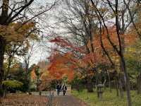 札幌市區賞楓景點～中島公園