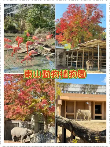 東山動物植物園-紅葉與動物構成和諧,而且美麗的景色