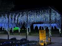 Enchanting Winter Wonderland at Nabona no Sato