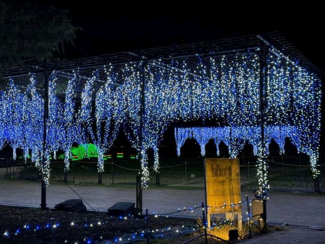 Enchanting Winter Wonderland at Nabona no Sato