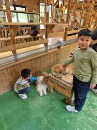 PAW Pet Animal World Nagasaki