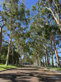 How to spend 4 days in Perth