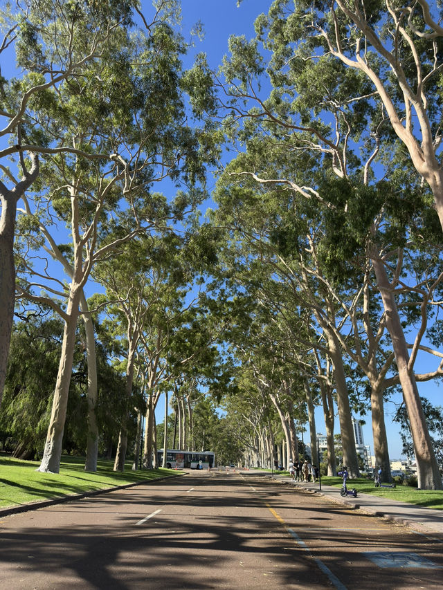 How to spend 4 days in Perth
