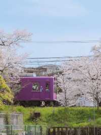 📍 This is what Kyoto will look like in a few months 
