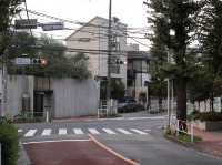 Nakameguro: Tokyo’s Riverside Gem of Culture and Charm