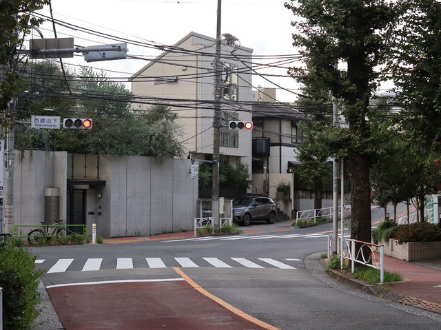 Nakameguro: Tokyo’s Riverside Gem of Culture and Charm