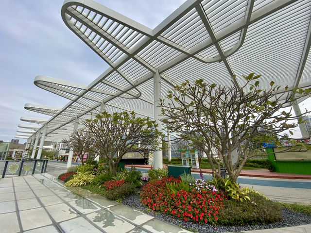 🌟深圳·月見國際酒店公寓🏨如家般的住宿入住體驗🥰