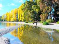 Lake Wanaka นิวซีแลนด์