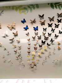 Discover the wonders of science at the Hong Kong Science Museum