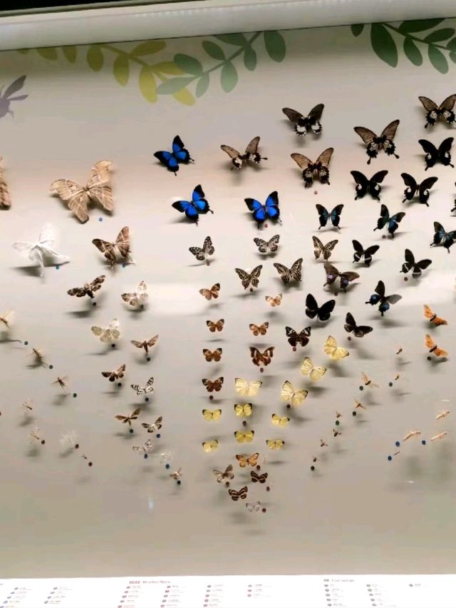 Discover the wonders of science at the Hong Kong Science Museum