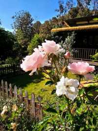 Mori Natural Farm เป็นฟาร์มสเตย์สไตล์ญี่ปุ่น