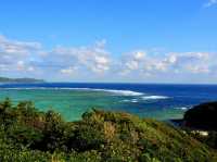 【鹿児島県】自然の絶景に出会う in奄美大島