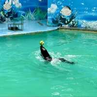 廣州動物園-市中心的動物世界