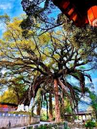 Uncover the Unique Beauty of Huangyao Ancient Town