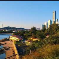 海濱公園～夕陽下的金色海洋🌊