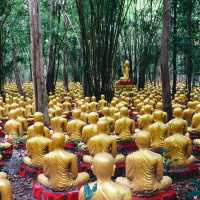 วัดโกรกแก้ววงพระจันทร์