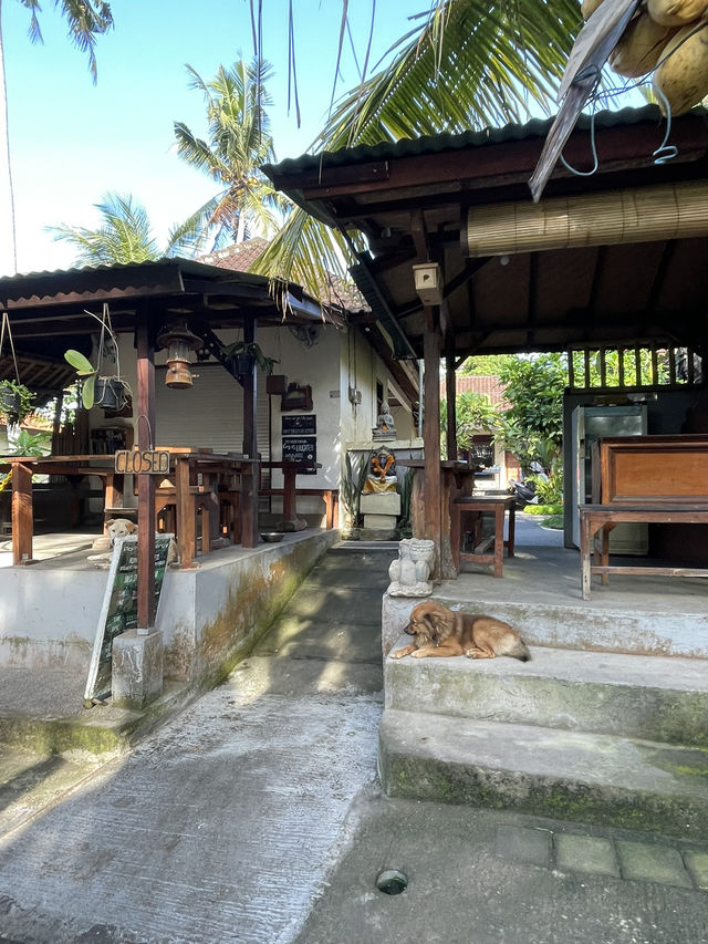 🇮🇩 Campuhan Ridge Walk