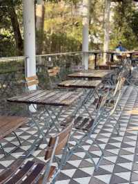 Cozy Vibes at Le Pain Quotidien in Shiba Park