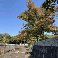 Expo ’70 Commemorative Park (万博記念公園) – A Nostalgic World Expo Site