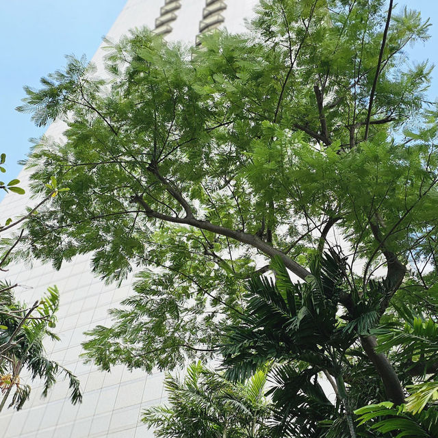 The Ritz-Carlton, Millenia Singapore