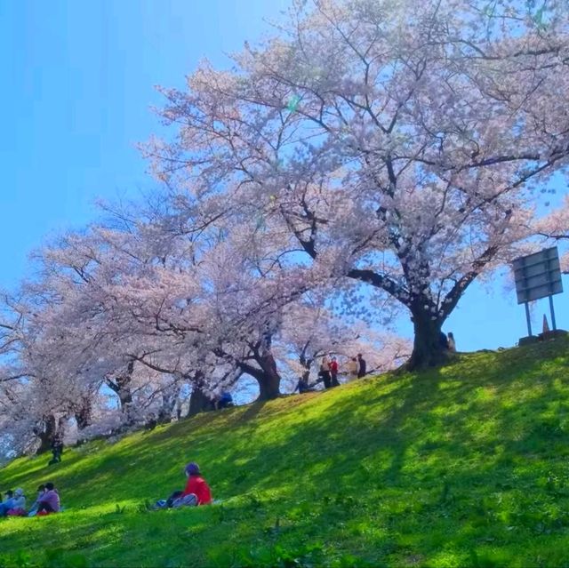 京都