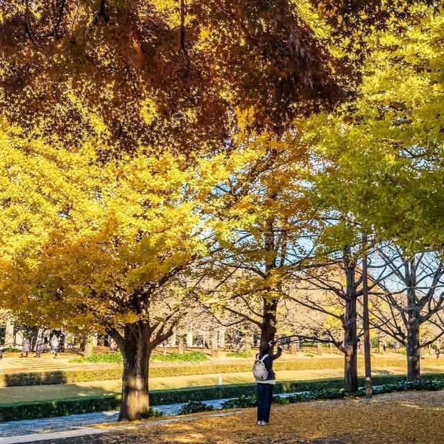 Showa Kinen Park (昭和記念公園)