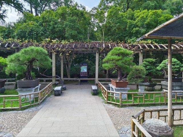 The most relaxable garden- Lingering Garden (LiuYuan Garden)