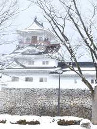 ปราสาทโทยามะ Toyama Castle Ruins