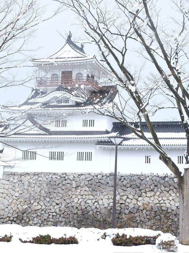 ปราสาทโทยามะ Toyama Castle Ruins