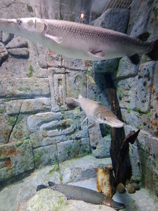 富國島Vinwonders 樂園:越南版的迪士尼 富國島Vinwonders 樂園:越南版的迪士尼