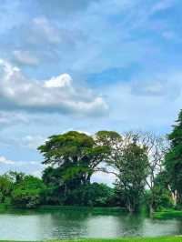 มัลเบอร์รี่ เมลโล่ | คาเฟ่หญ้าเขียว 🍃
