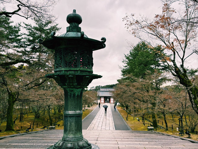 国宝に指定された格式高い本堂🏯